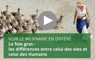 Le foie gras - les différences entre celui des oies et celui des Humains